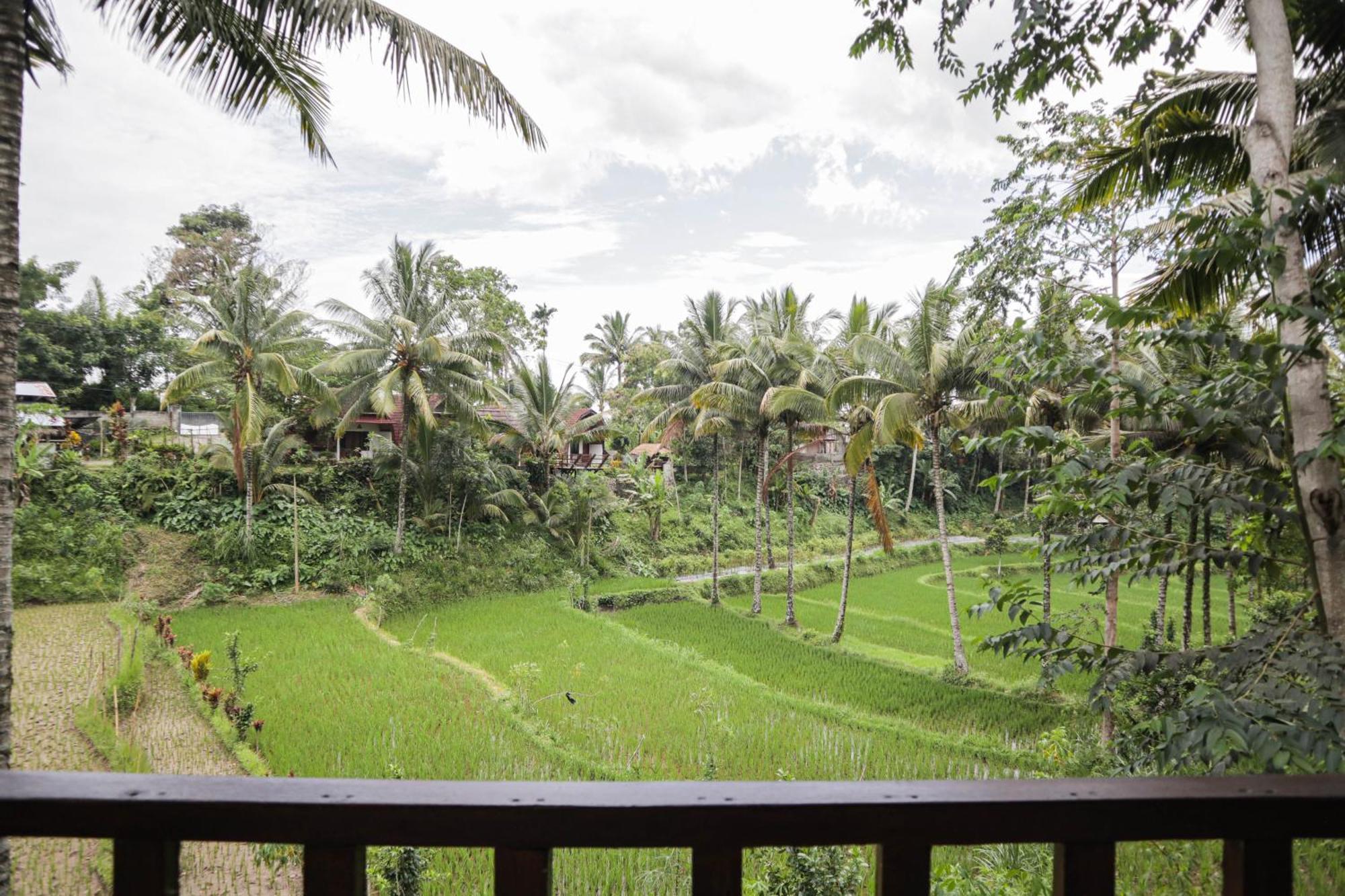 Nea Cottage Lombok 特特巴图 外观 照片