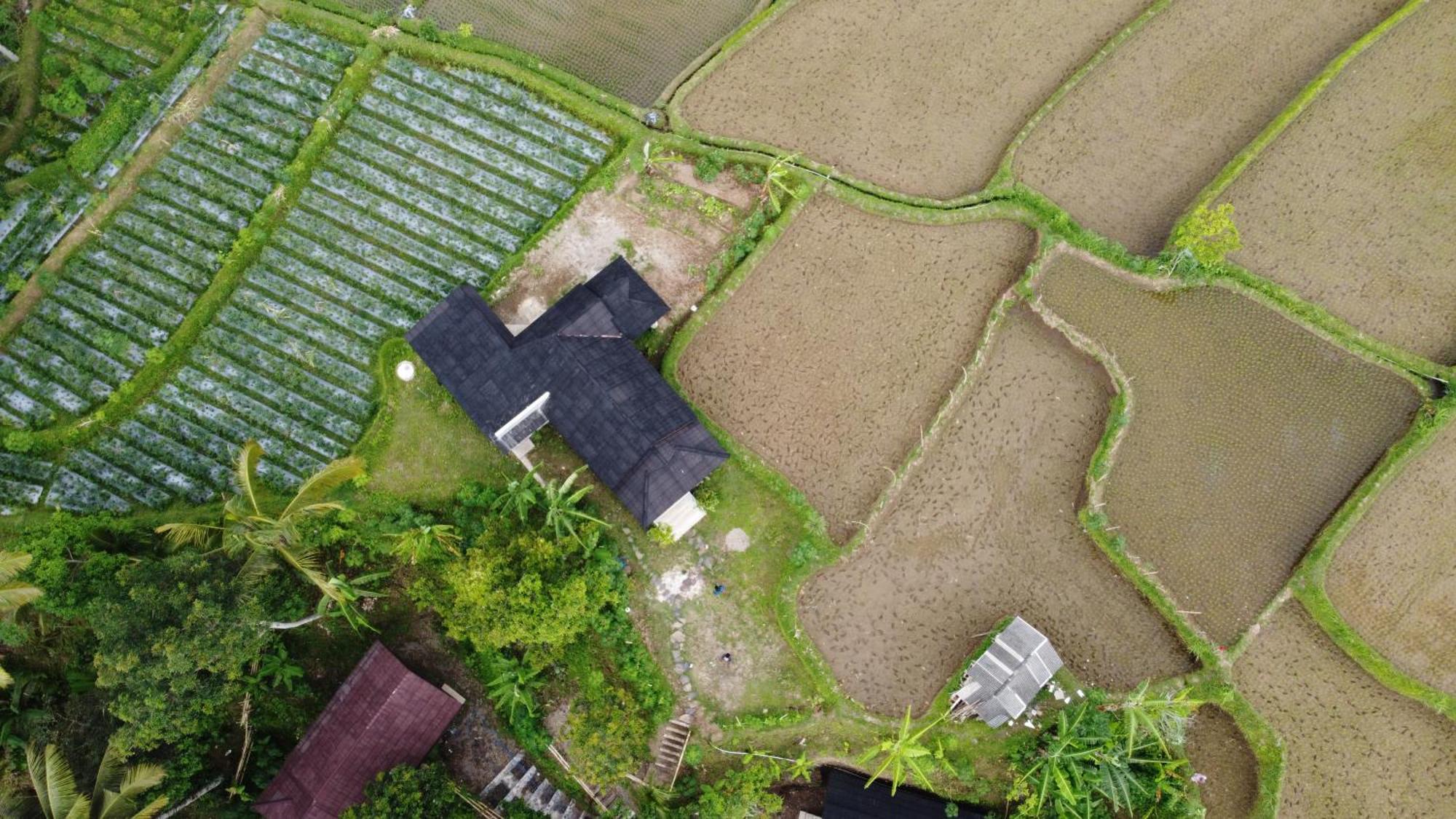 Nea Cottage Lombok 特特巴图 外观 照片