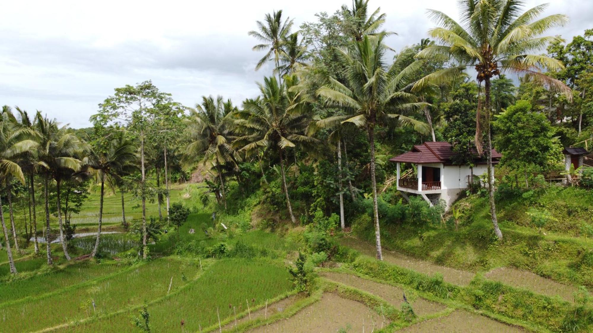 Nea Cottage Lombok 特特巴图 外观 照片