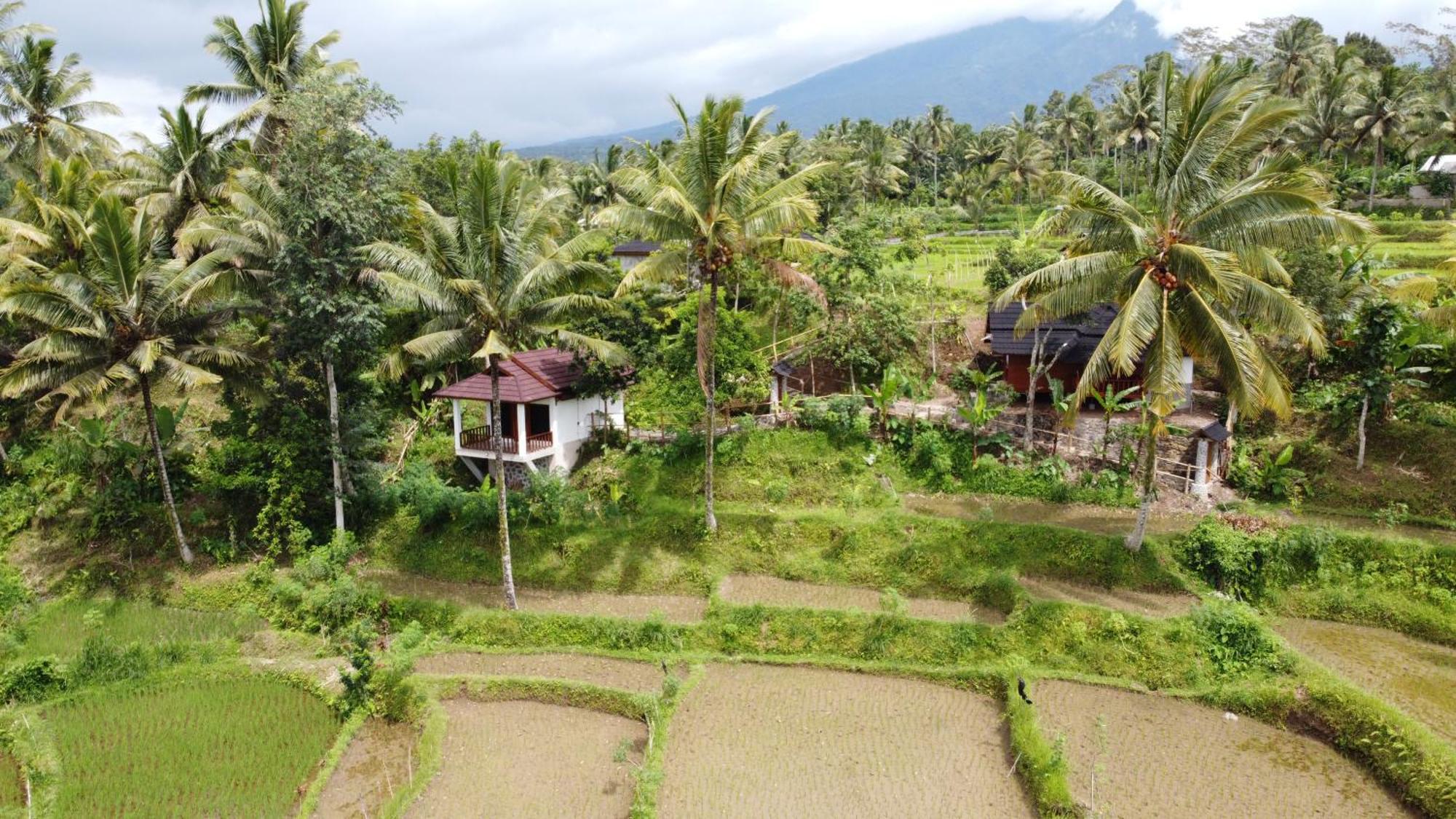 Nea Cottage Lombok 特特巴图 外观 照片