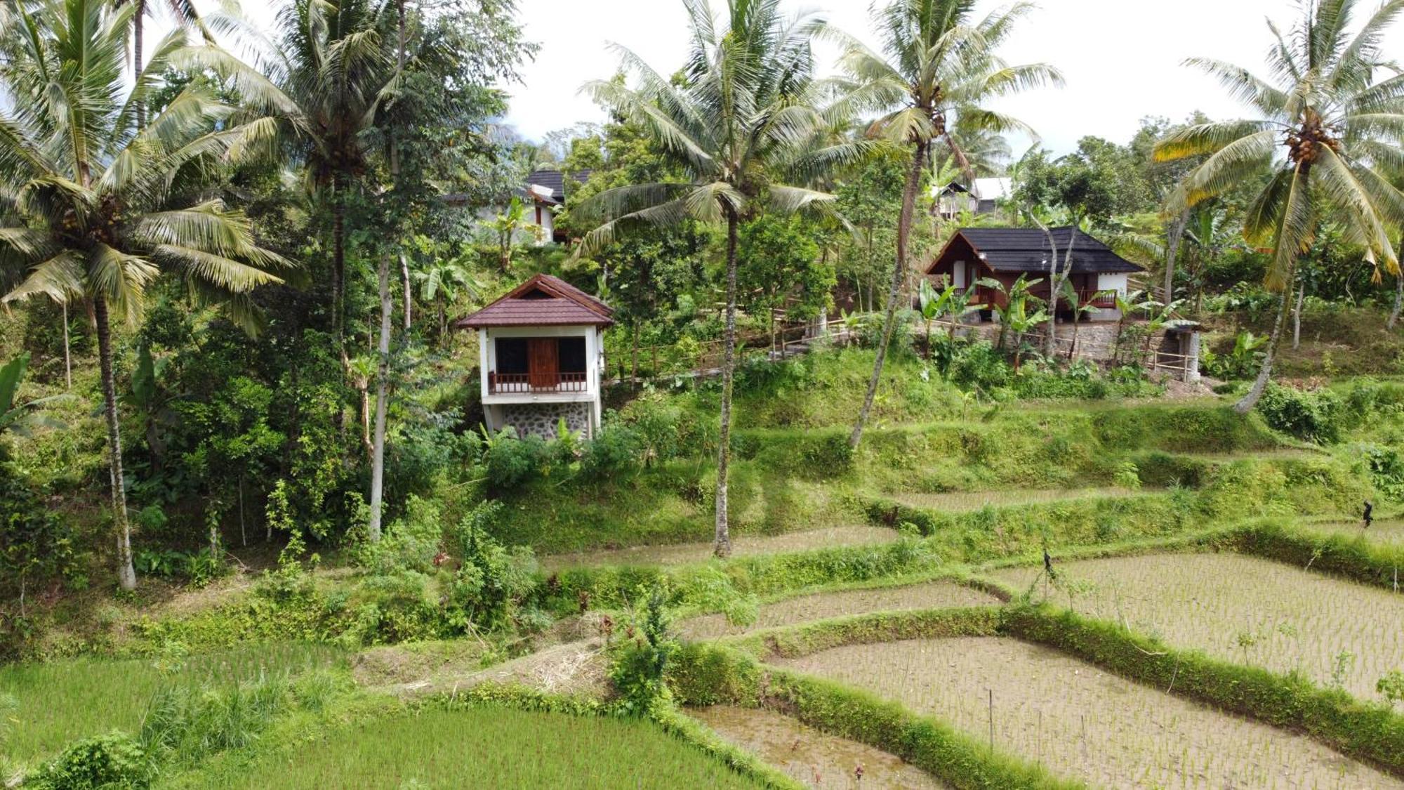 Nea Cottage Lombok 特特巴图 外观 照片