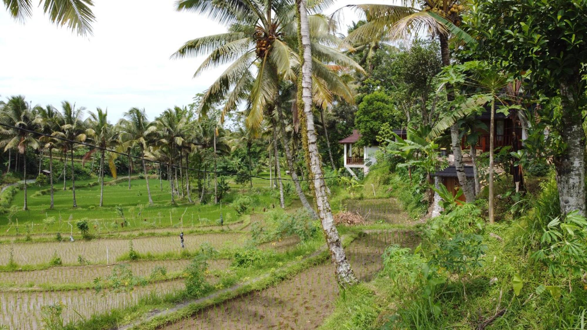 Nea Cottage Lombok 特特巴图 外观 照片