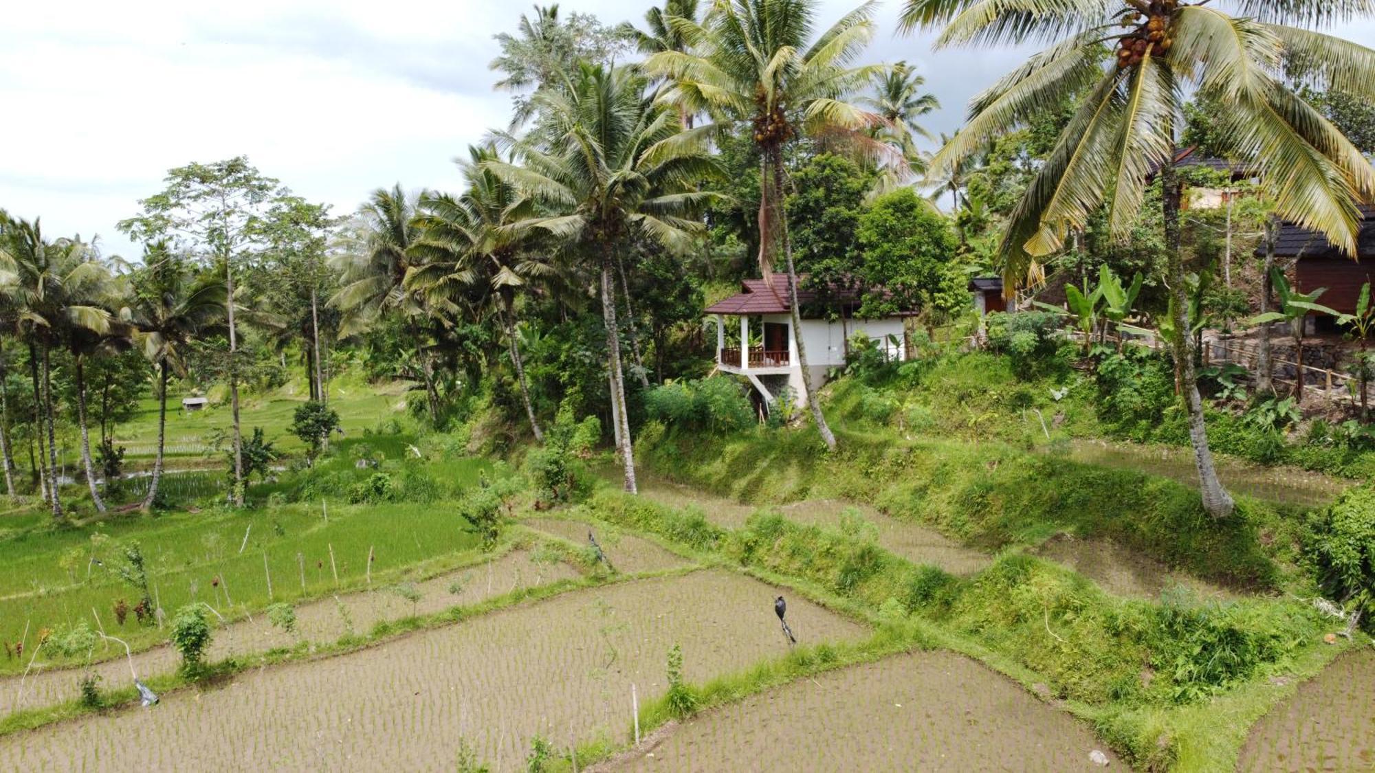 Nea Cottage Lombok 特特巴图 外观 照片