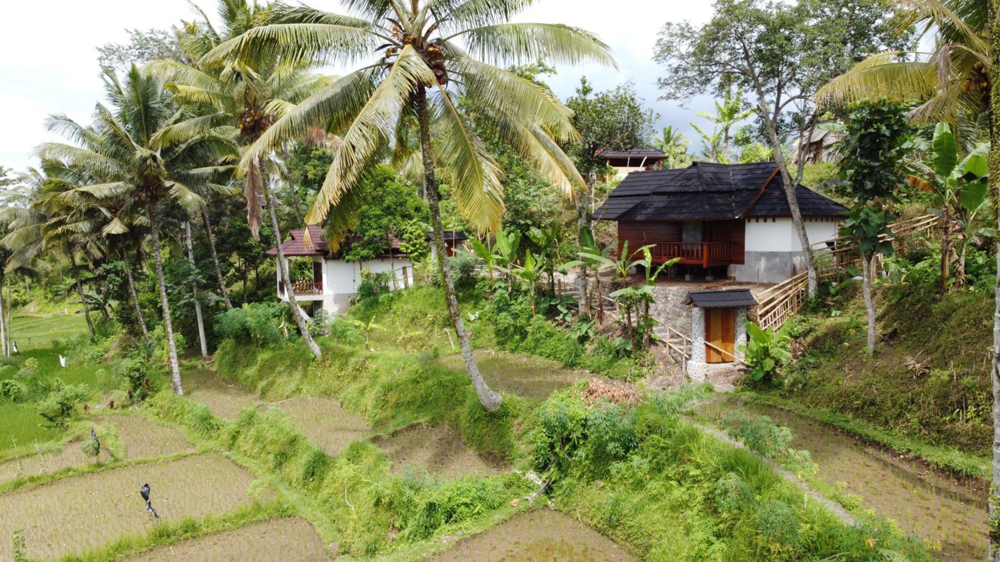 Nea Cottage Lombok 特特巴图 外观 照片