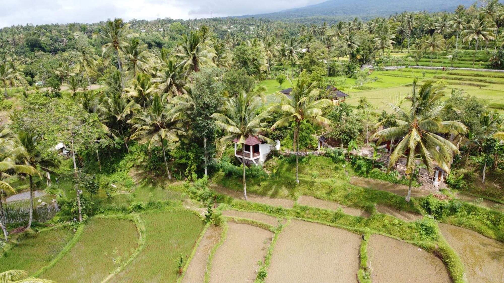 Nea Cottage Lombok 特特巴图 外观 照片