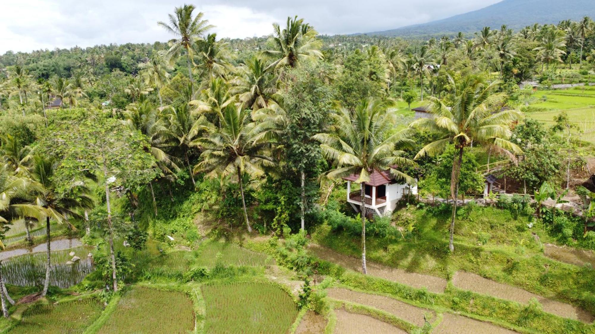 Nea Cottage Lombok 特特巴图 外观 照片