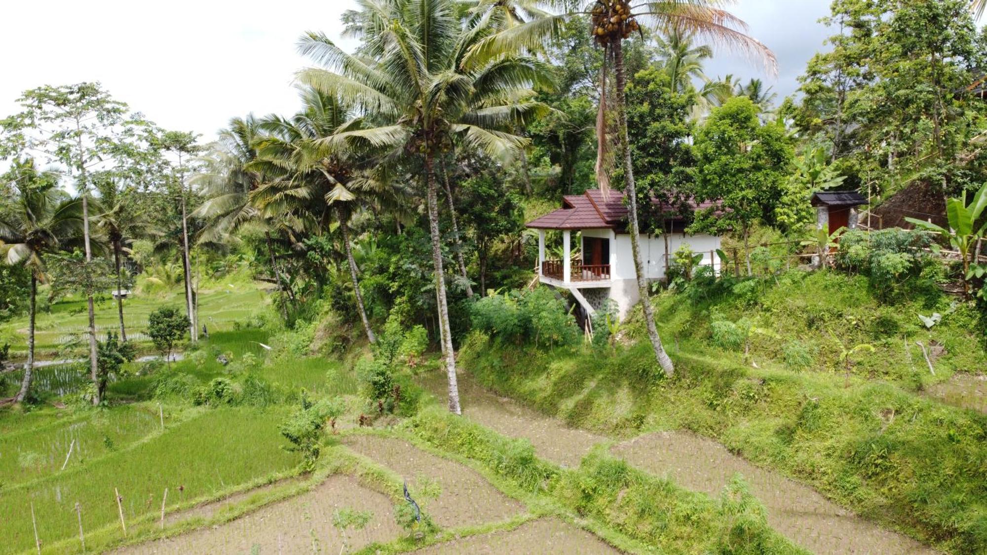 Nea Cottage Lombok 特特巴图 外观 照片