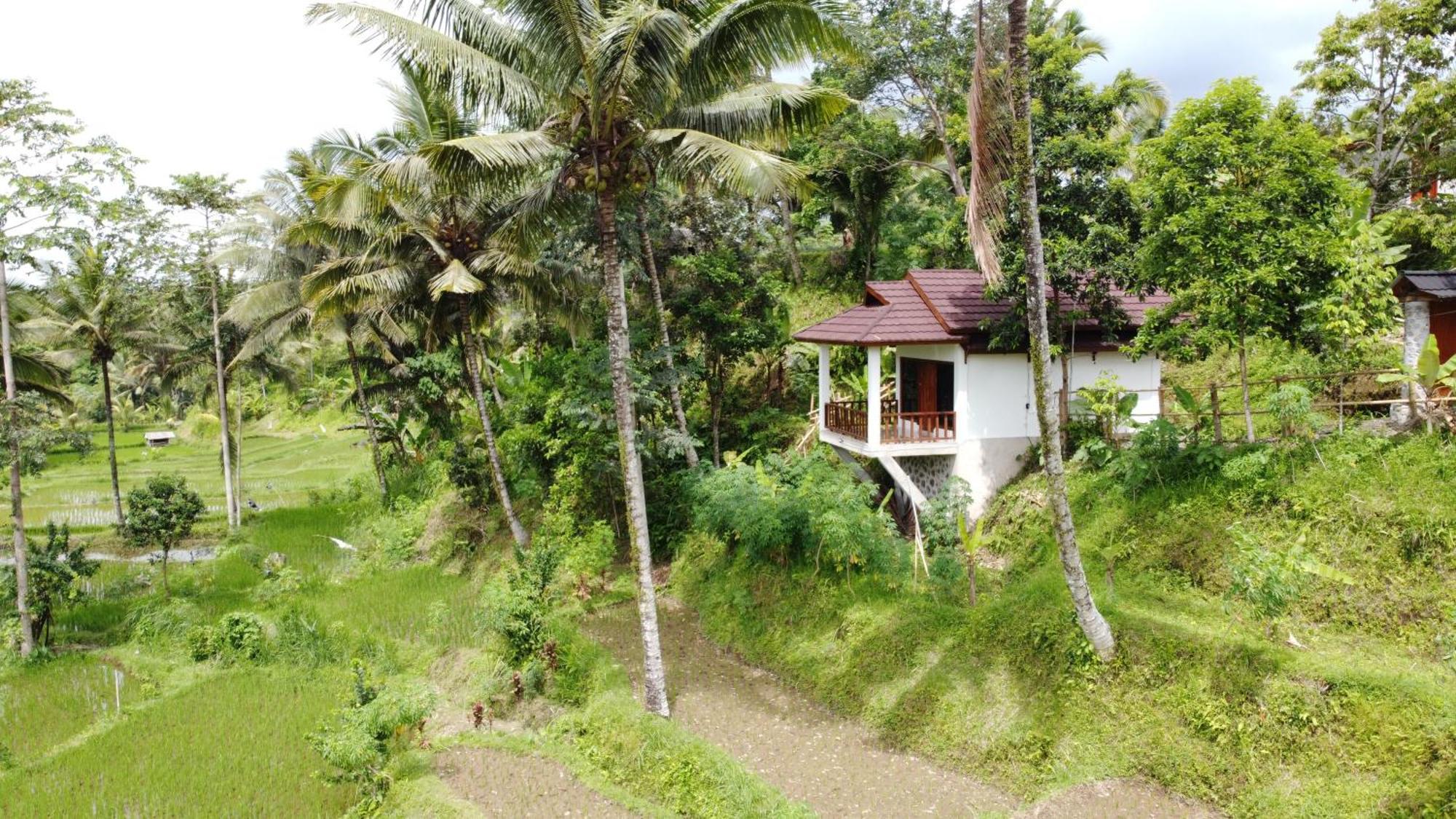 Nea Cottage Lombok 特特巴图 外观 照片