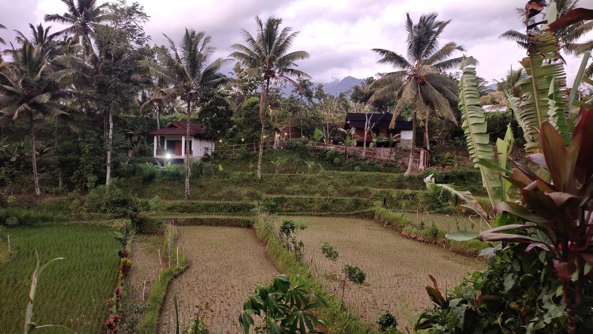 Nea Cottage Lombok 特特巴图 外观 照片