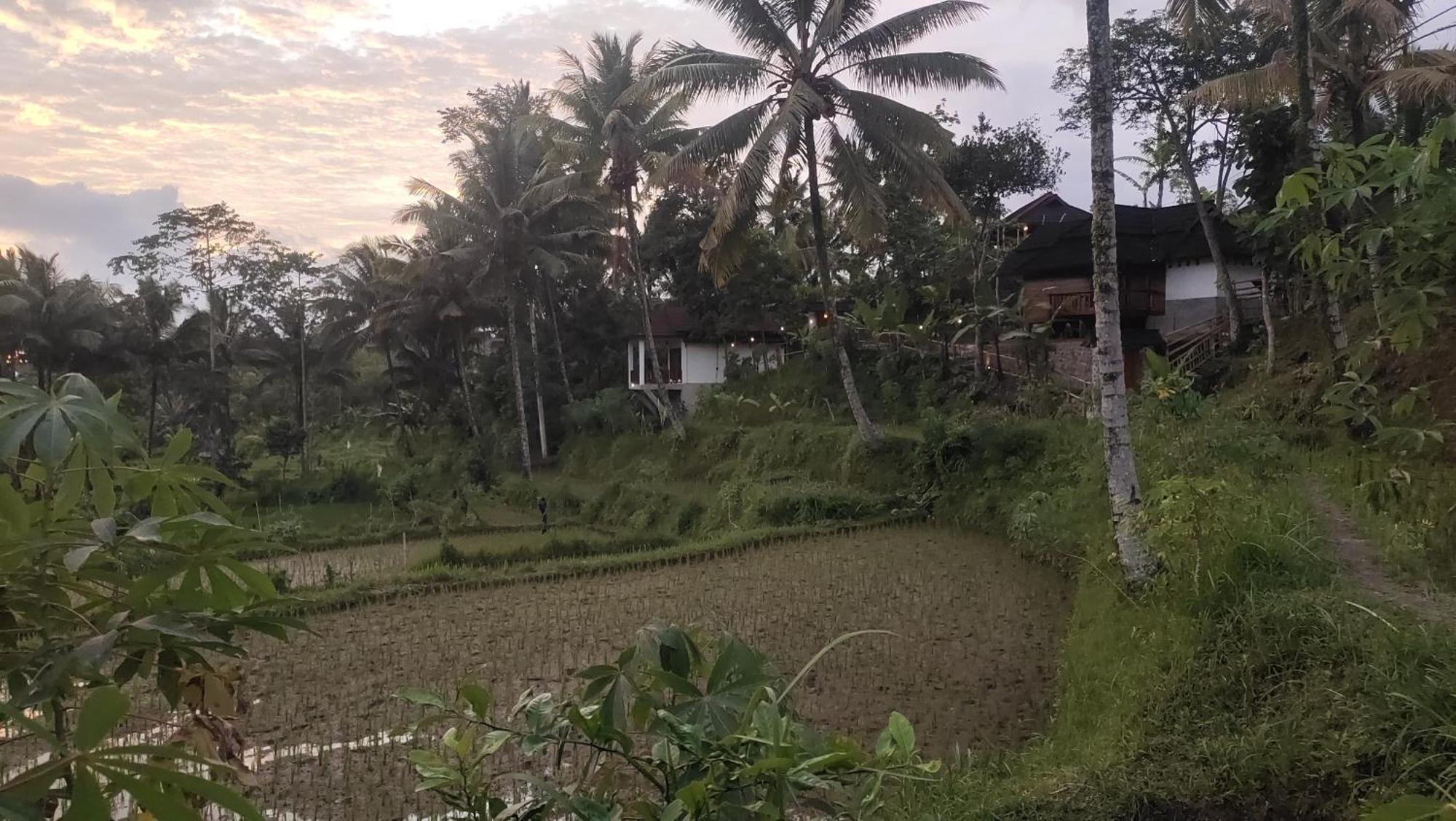 Nea Cottage Lombok 特特巴图 外观 照片