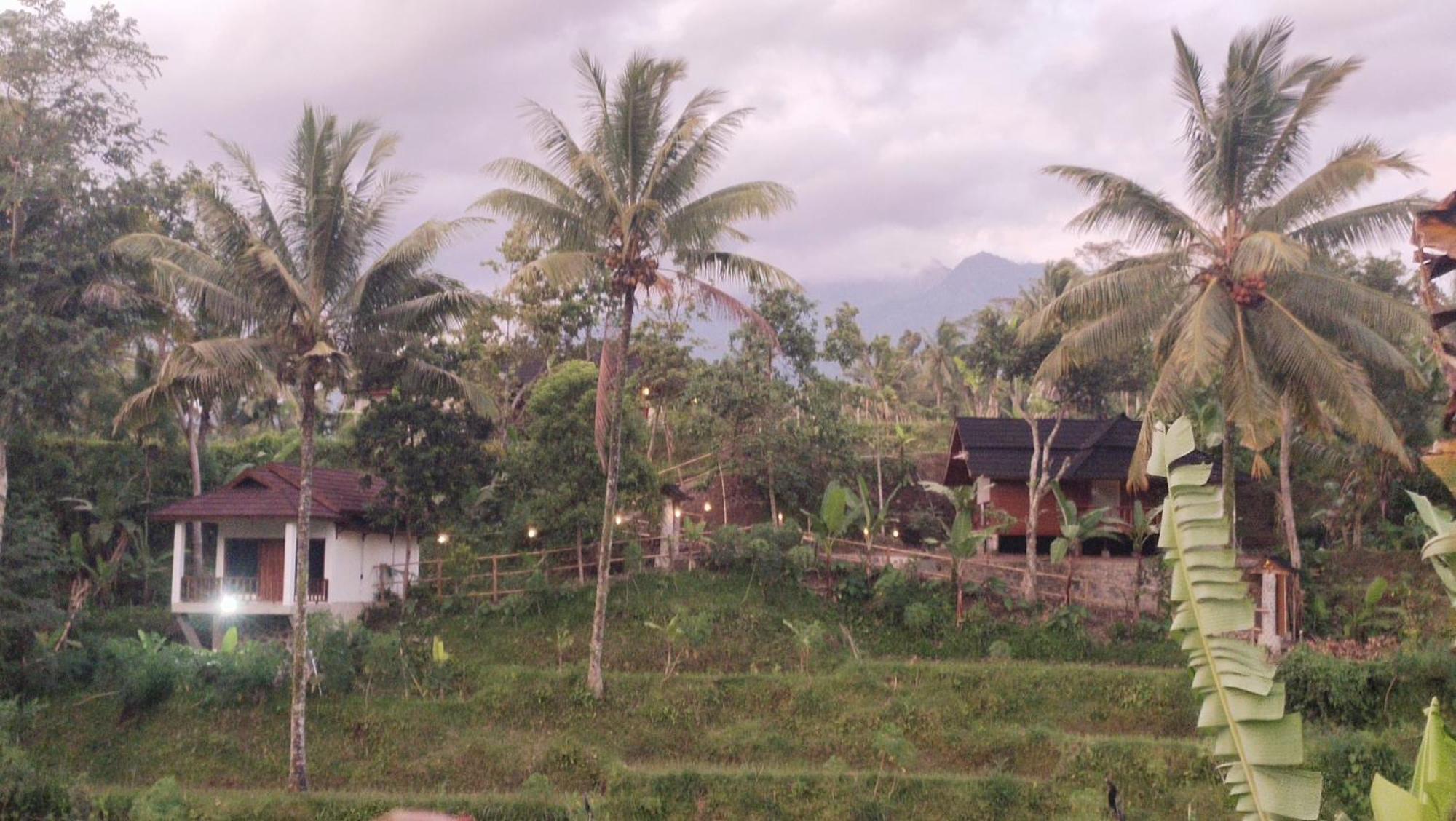 Nea Cottage Lombok 特特巴图 外观 照片