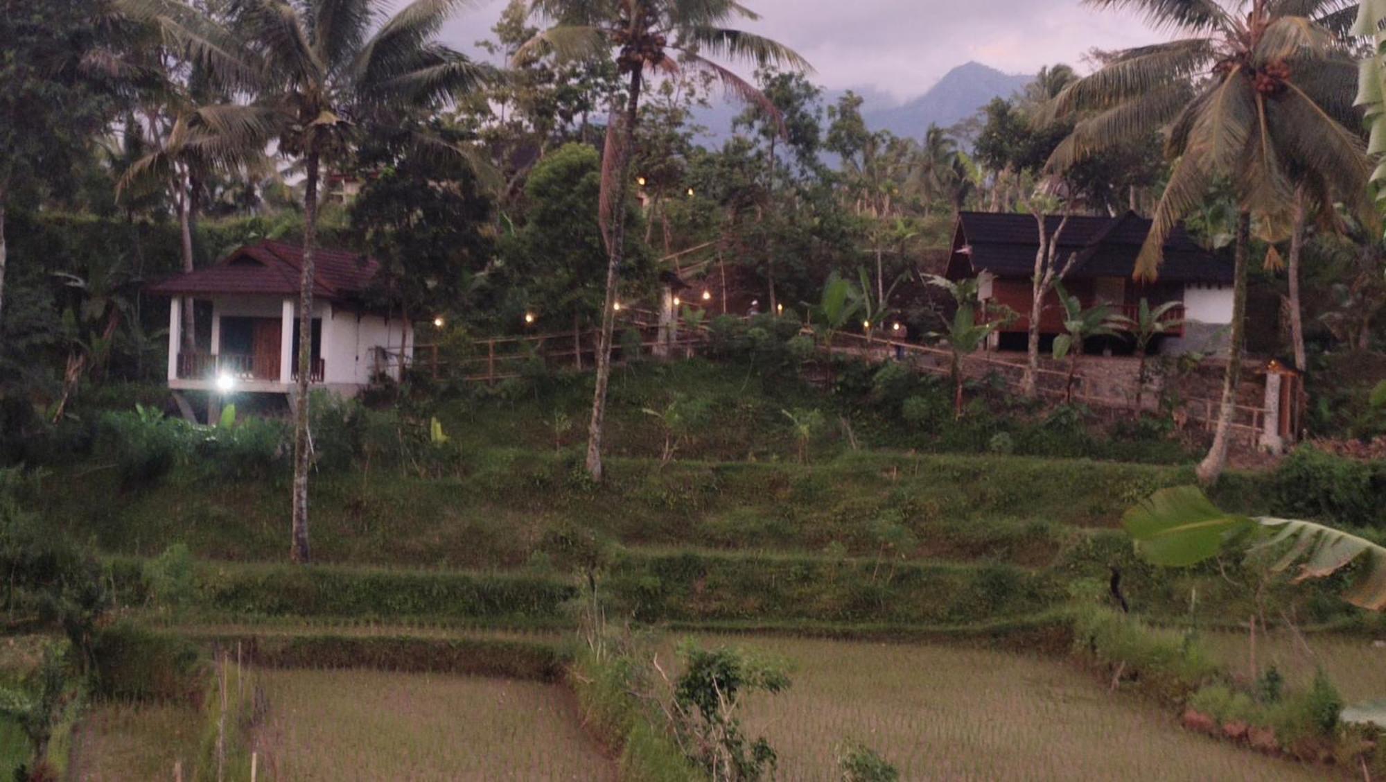 Nea Cottage Lombok 特特巴图 外观 照片